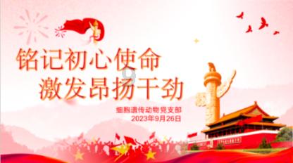 超能战区