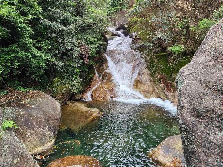 盐和避难所
