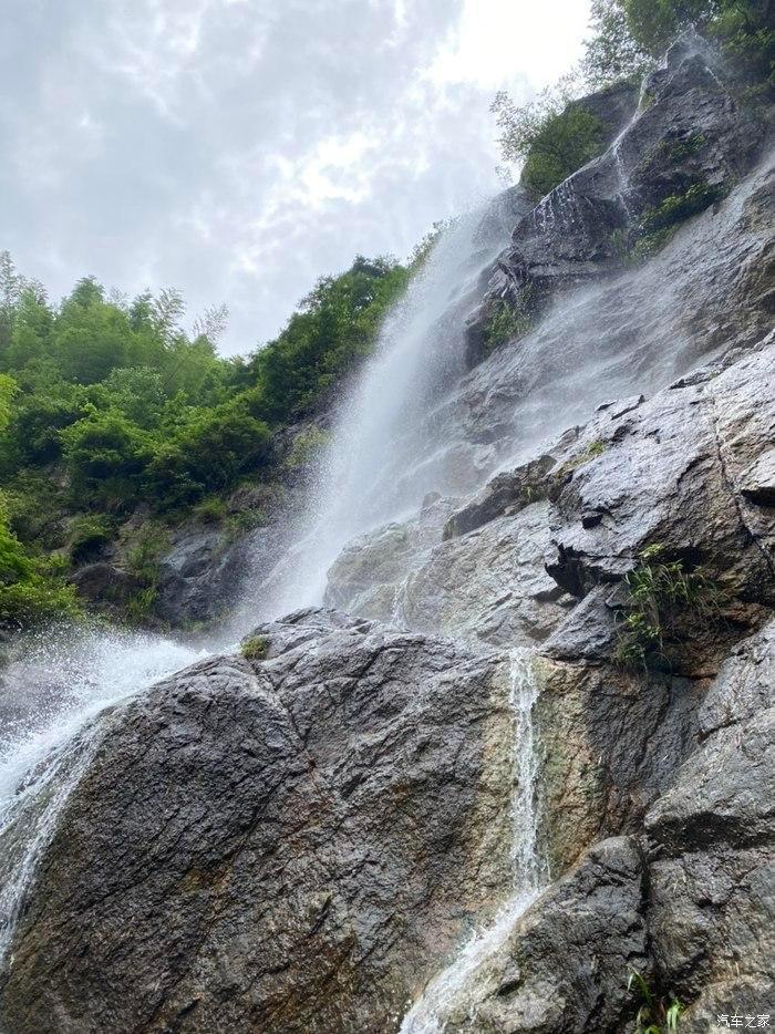 拯救机灵鸟