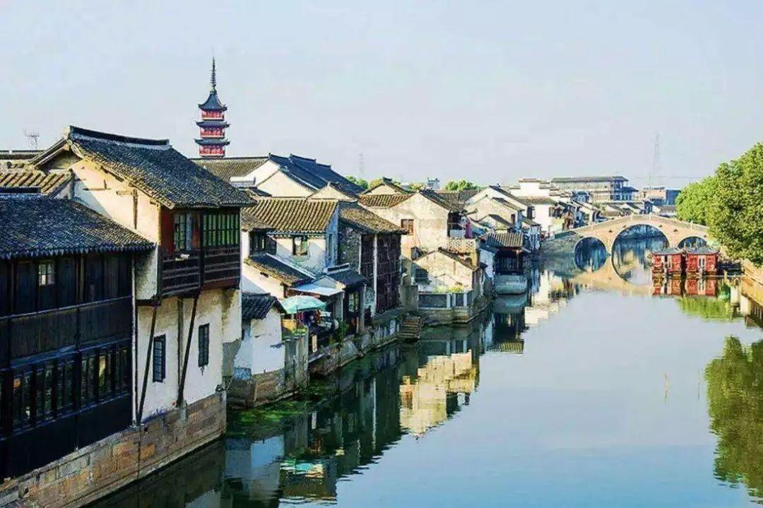 中医系统论：传统智慧如何助力现代医学？